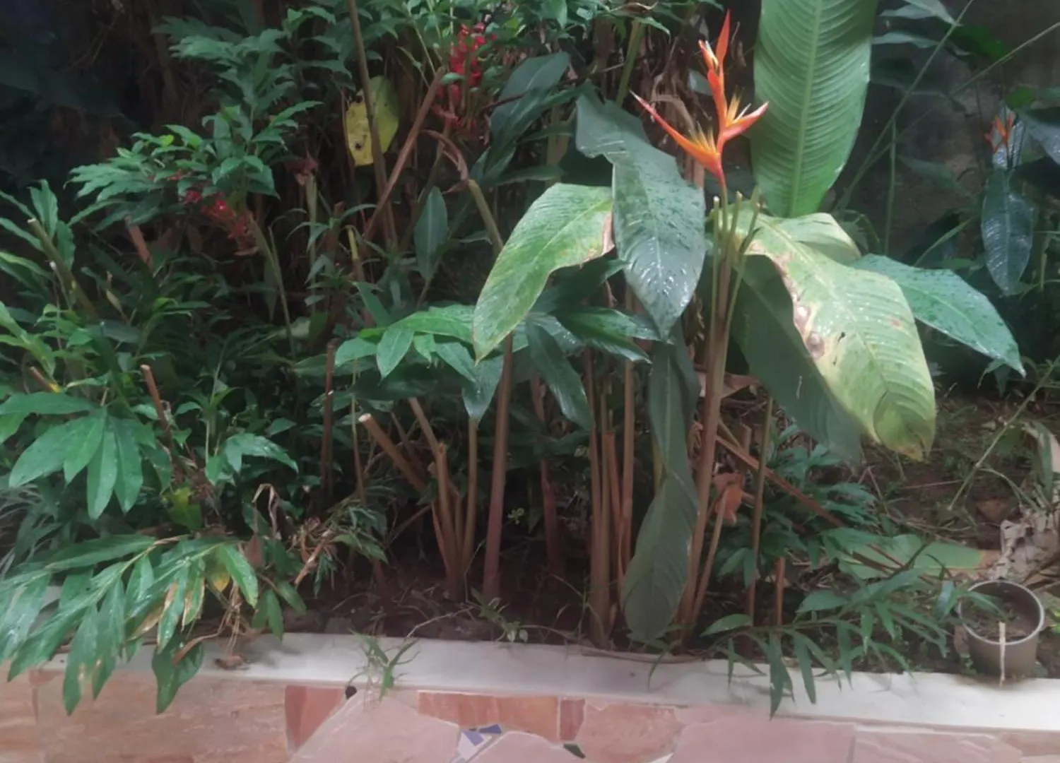 Apartment 15 Minutes De Fort De France Saint-Joseph