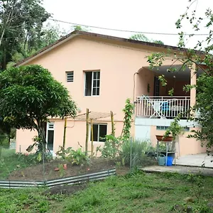  Appartement Maison Lavanne